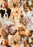 PSY | BEST OF SHOW PACKED SPANIELS